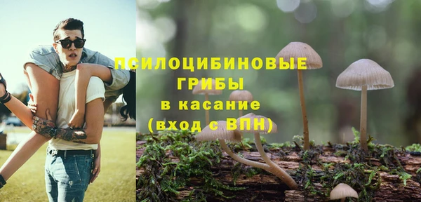 гашик Осташков