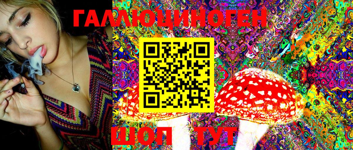 Котельники  Псилоцибиновые грибы Magic Shrooms  Вход с VPN 