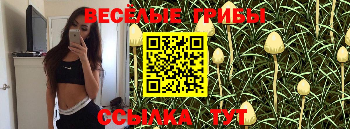 Псилоцибиновые грибы мицелий Котельники