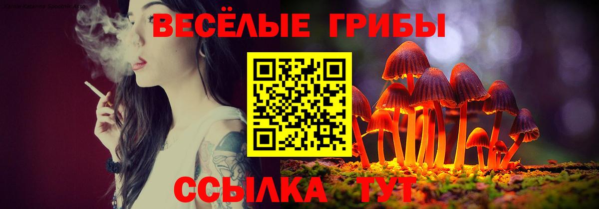 Бошки Шишки  Котельники  Вход с VPN  СОЛЬ CK  Канабис  Мефедрон  ГАШ  ГАШ  COCAIN  Molly 